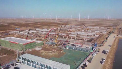 東營通威1萬噸/年南美白對蝦智慧化養殖項目加快推進，助力利津縣園區資產投資與管理