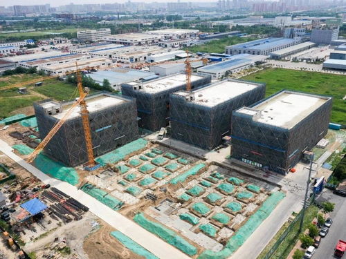 投資50億元，宿遷搶灘“它經濟” 首個寵物經濟產業園蓄勢待發